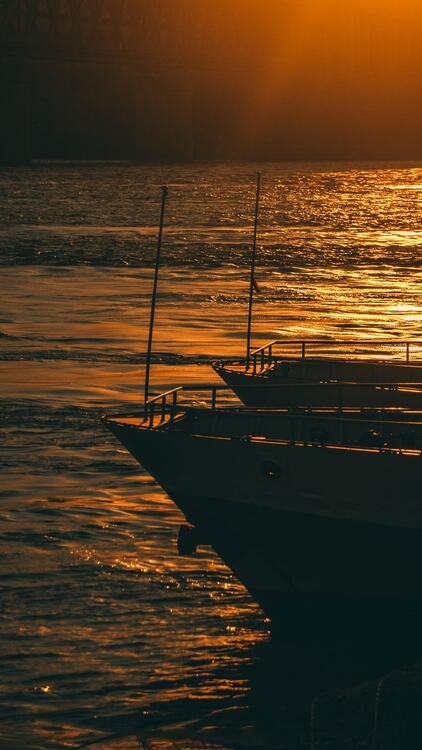 Playa 119058