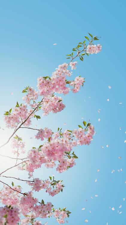 藍色