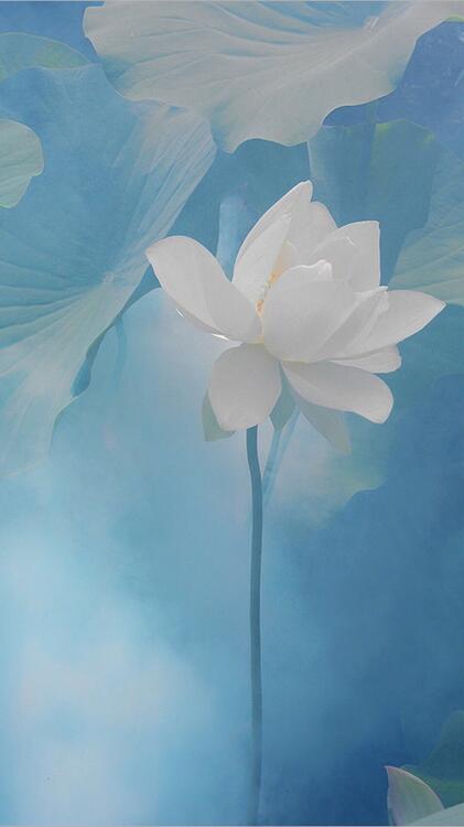 Blue 179573