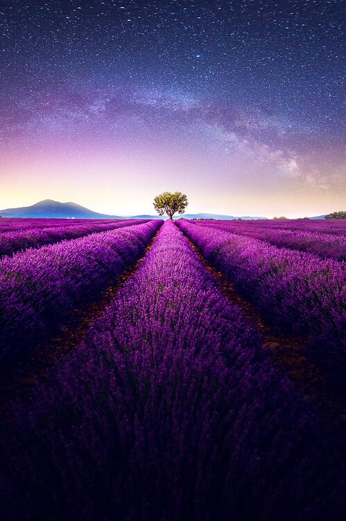 Wallpaper aesthetic wallpapers iPhone