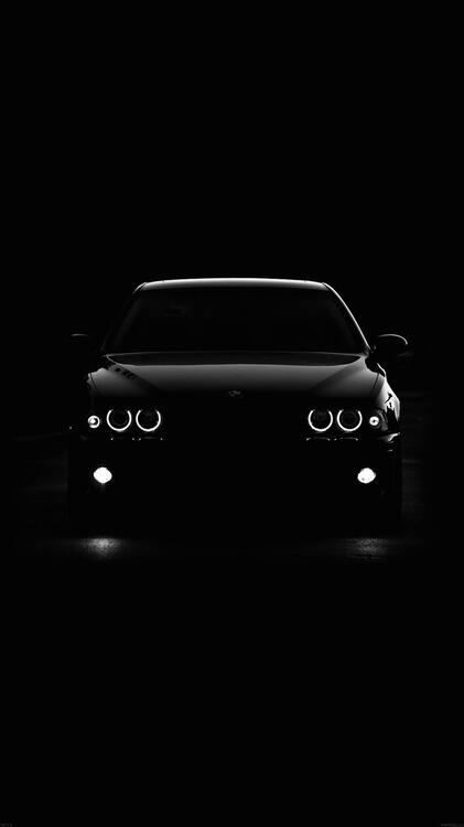 Black 173731