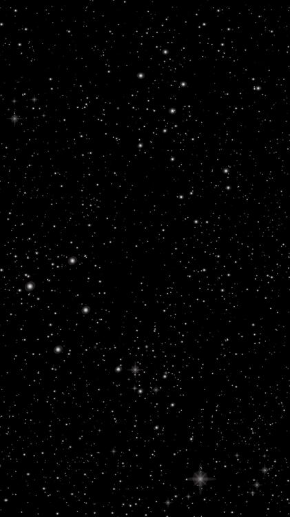 Black 137596