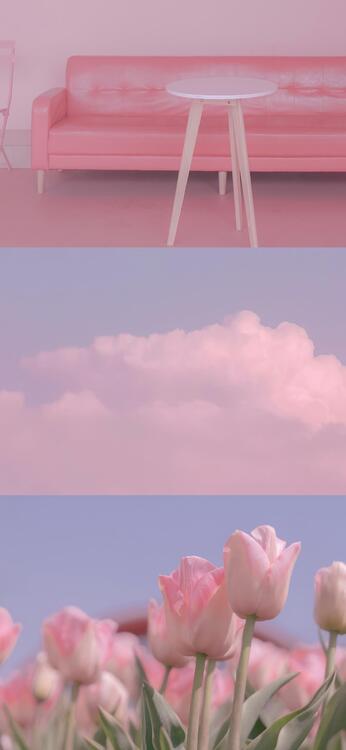 Pink 183752