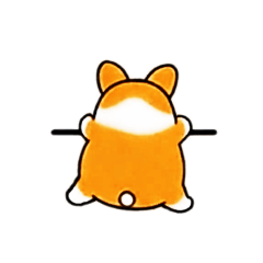 ダイナミックアイランドダイナミックアイランドのペット