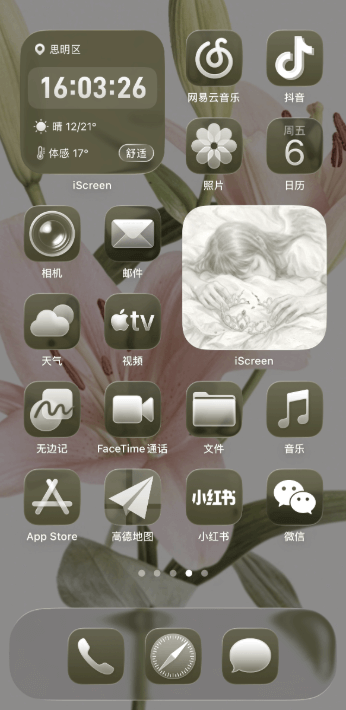 Home Screen Gallery 雾樱朦胧