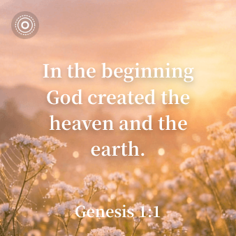 Widget Bible