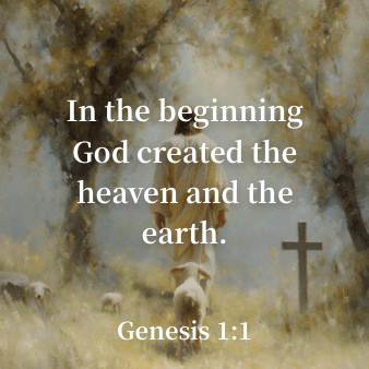 Widget Bible