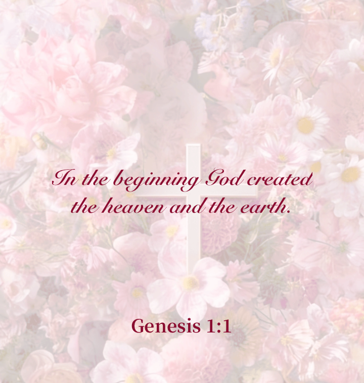 Widget Bible