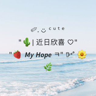 Widget 花样便签