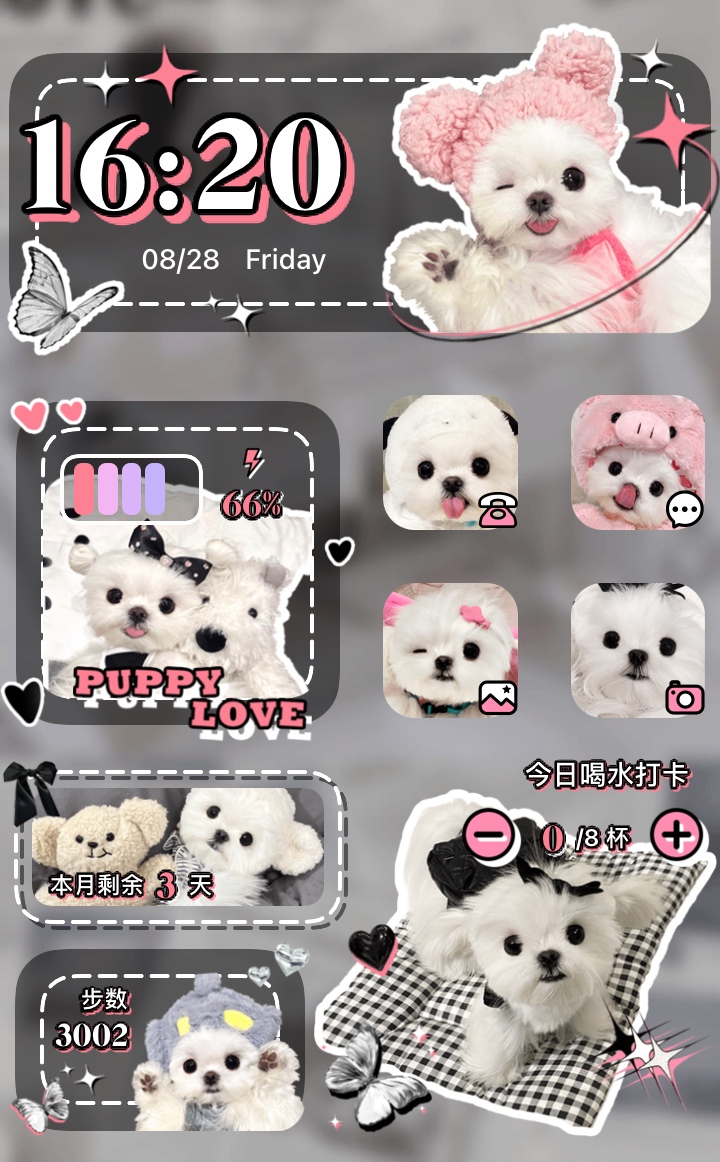 iOS 27 甜酷狗狗 widget for iPhone