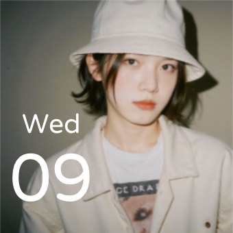 Widget Calendar