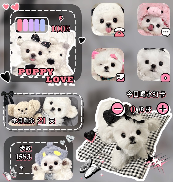 Widget 甜酷狗狗