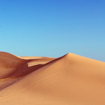 Widget 照片