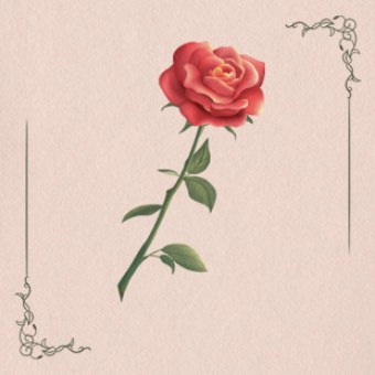 Widget Petals tell me