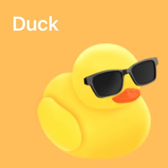 Widget Duck