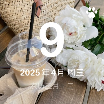 Widget 日历