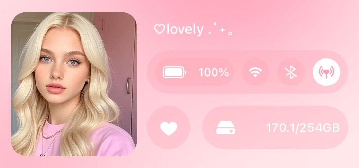 Widget INS Pic Panel
