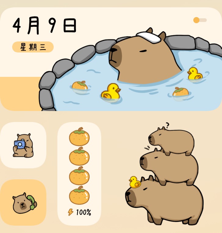 Widget 卡皮巴拉