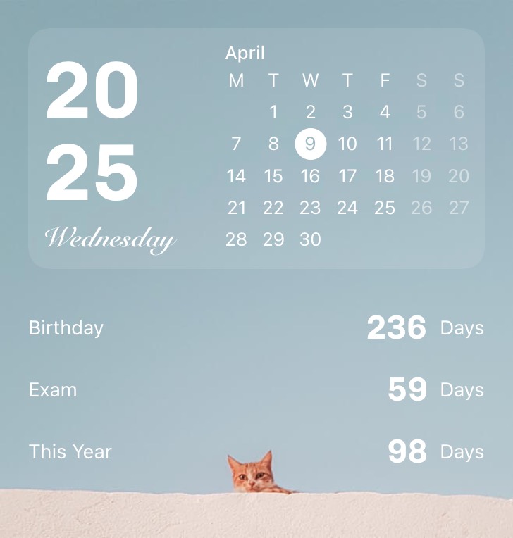 Widget Countdown Calendar
