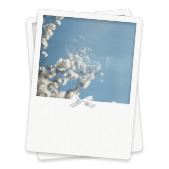 Widget Flip Album